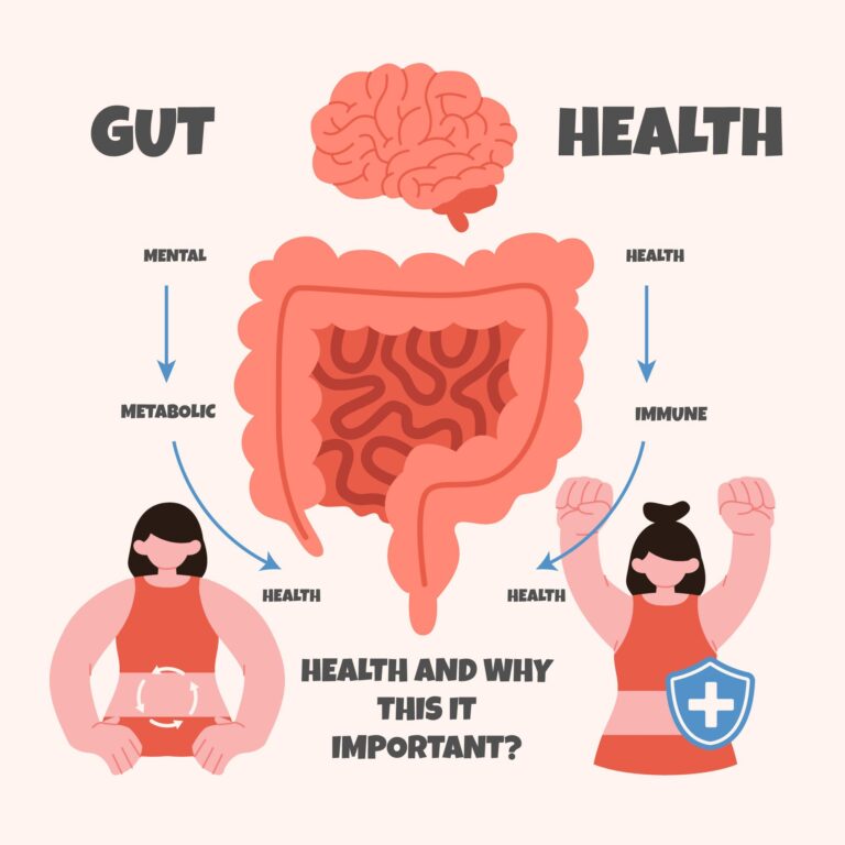How Gut Health Boosts Your Overall Wellness Daily