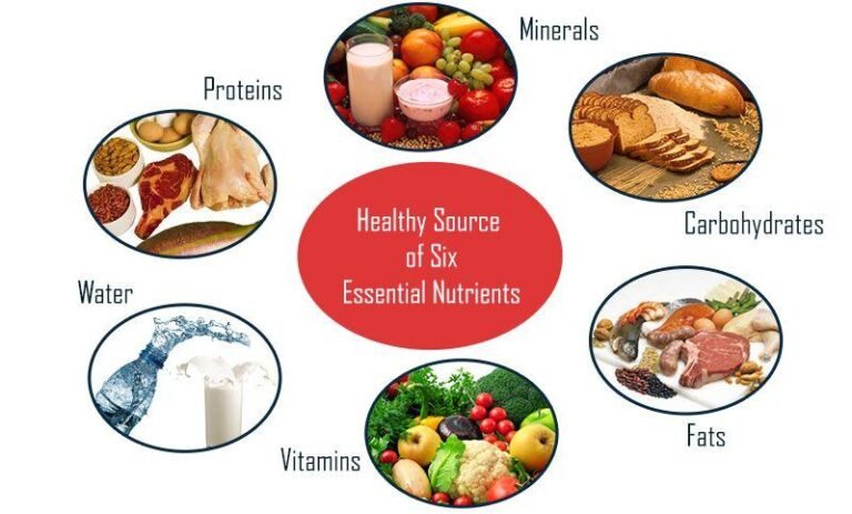 Top Essential Nutrients You Need for a Healthy Body Today