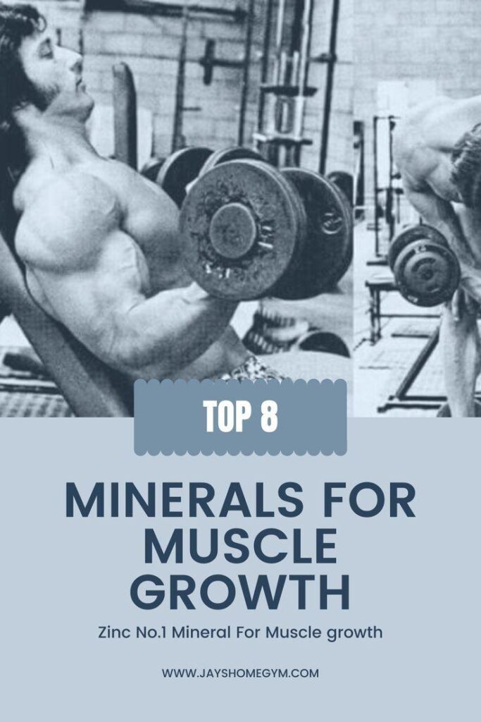 Zinc’s Impact on Muscle Growth and Recovery Explained