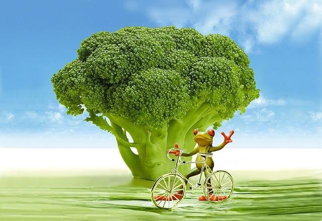 How Fiber Boosts Your Weight Loss Journey Naturally How Fiber Boosts Your Weight Loss Journey Naturally